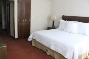 Habitación Suite - Hotel Hacienda La Venta