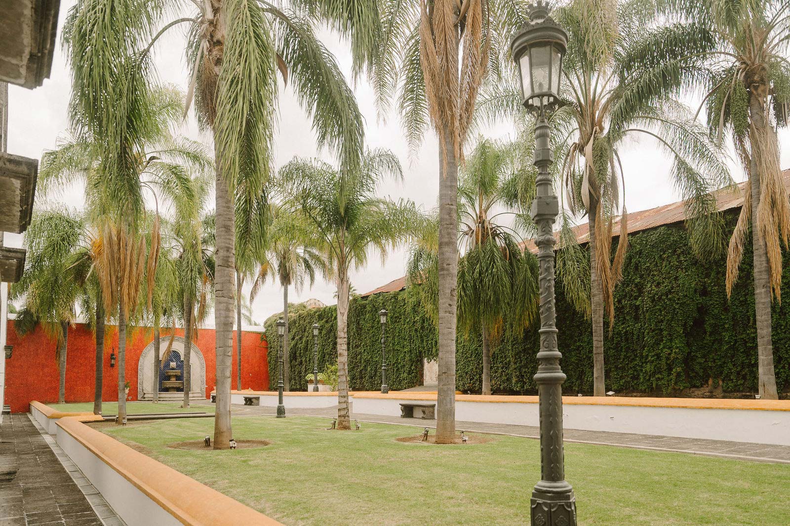 laventa-inst-jar-palmeras-03