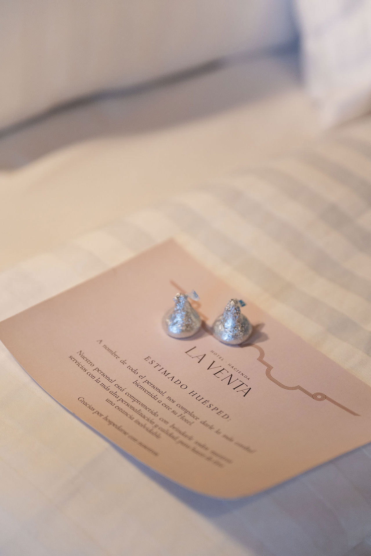 Hotel Hacienda La Venta - Filosofía